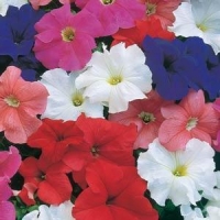 Total_Mix