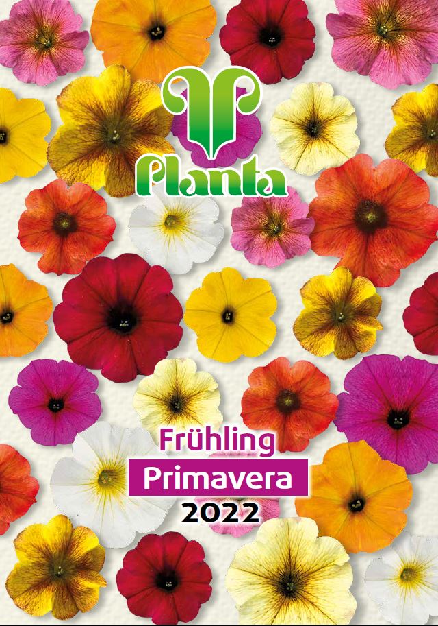 planta202122