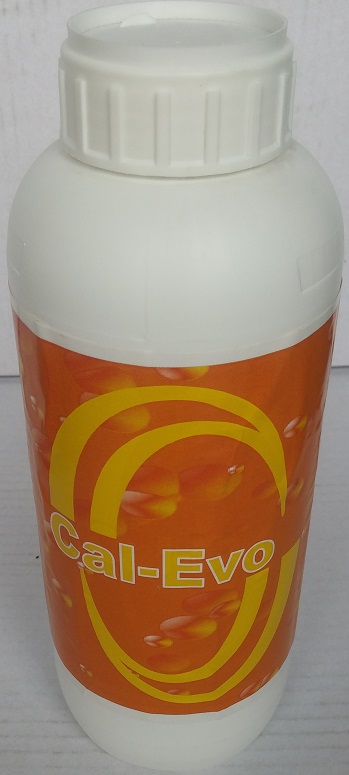 cal-evo